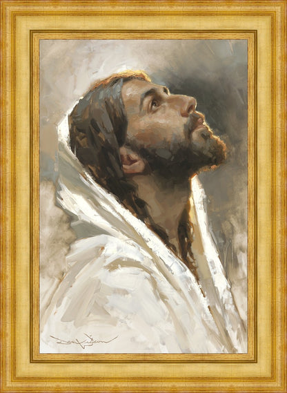 Beloved Son