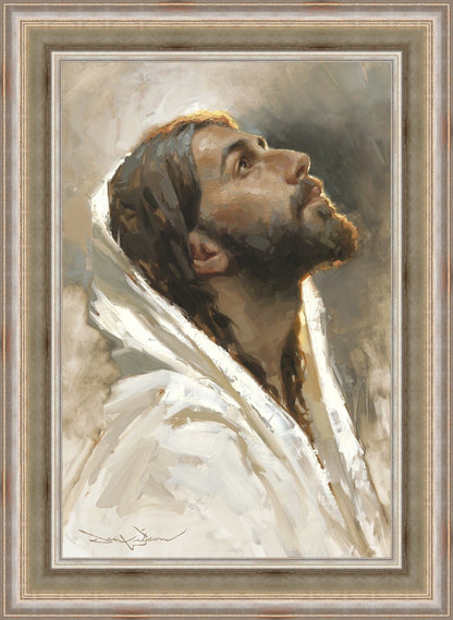 Beloved Son