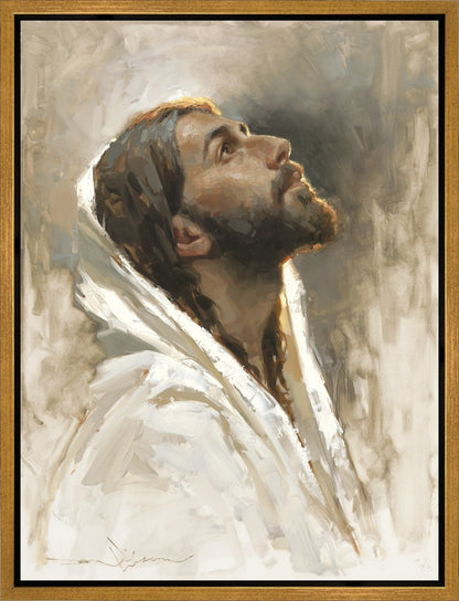 Beloved Son