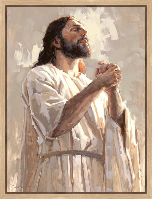 Colors of Salvation