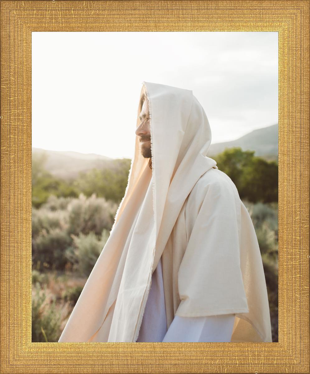 My Redeemer