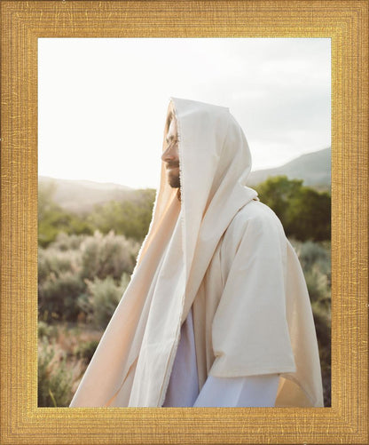 My Redeemer