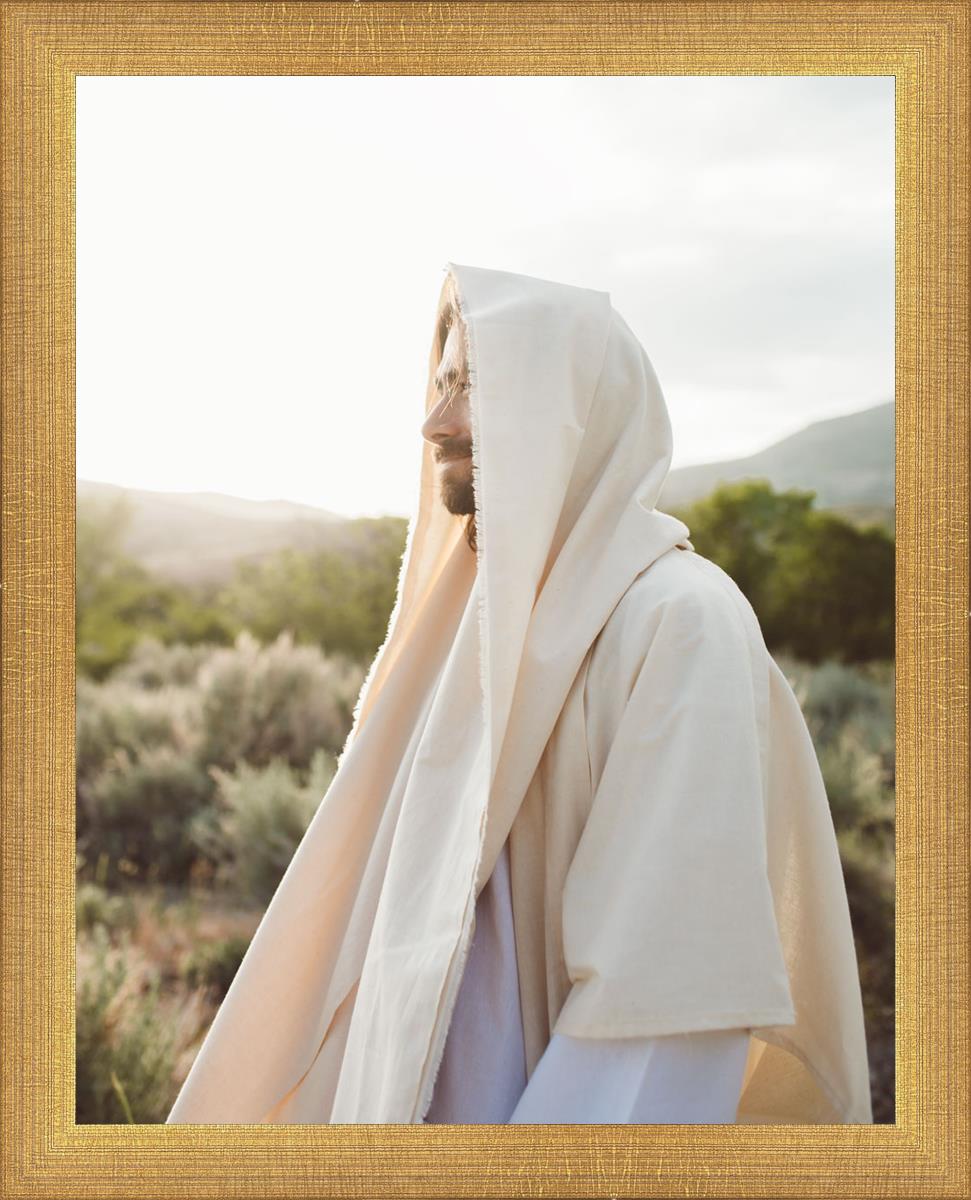 My Redeemer