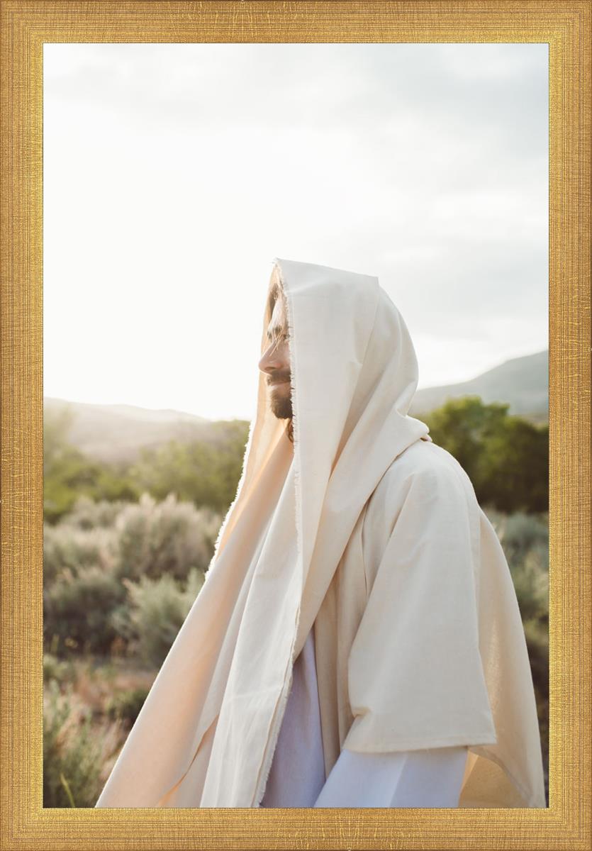 My Redeemer