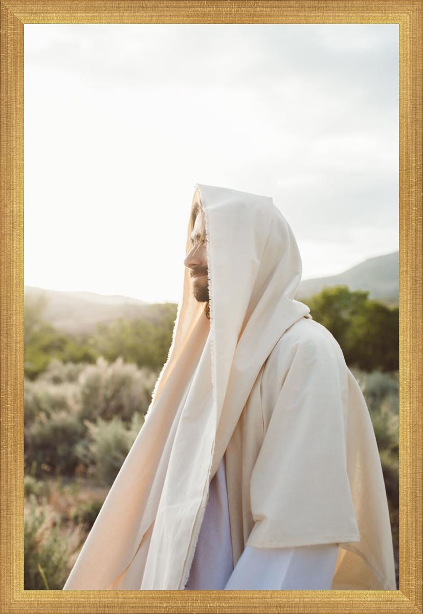 My Redeemer