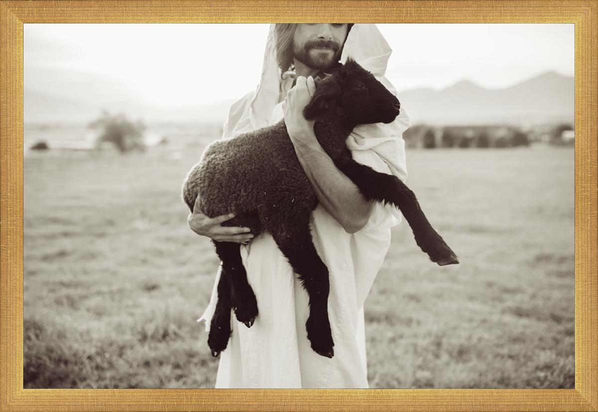 In His Hands