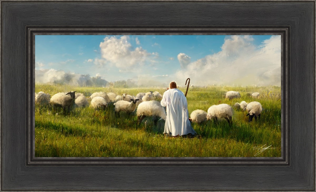 Counting Sheep