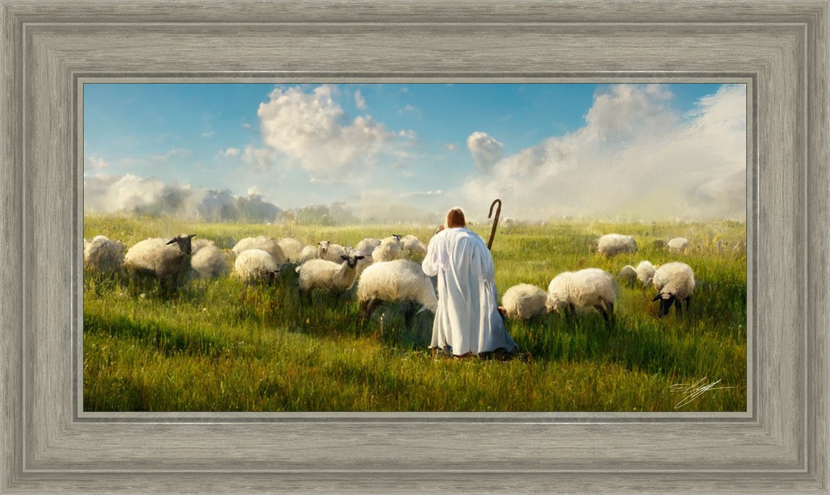 Counting Sheep