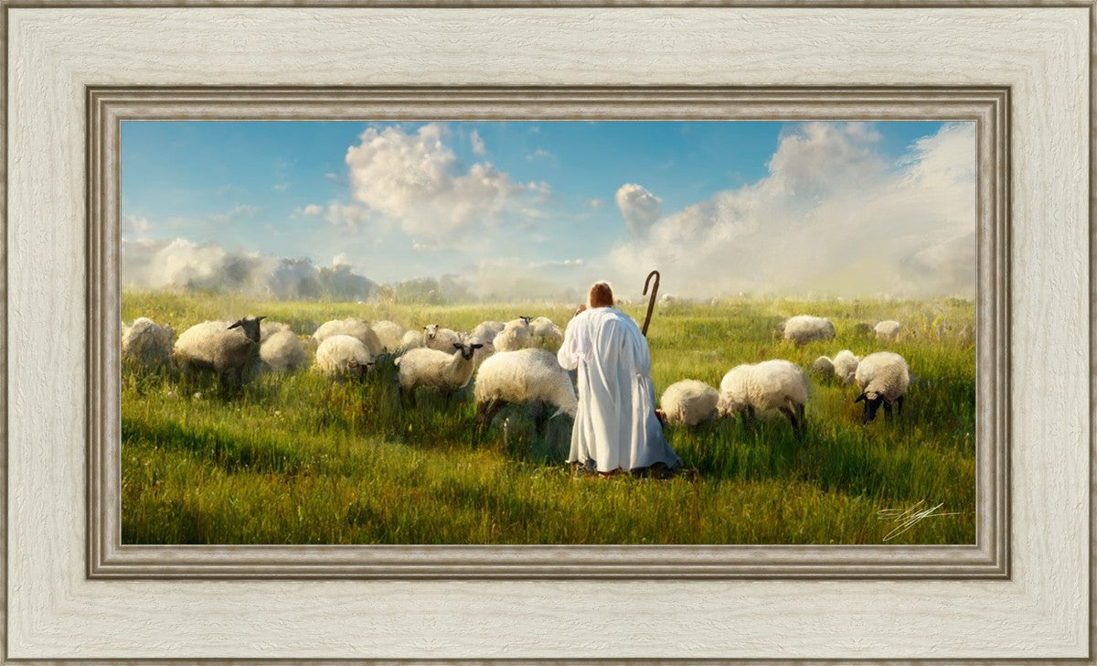 Counting Sheep