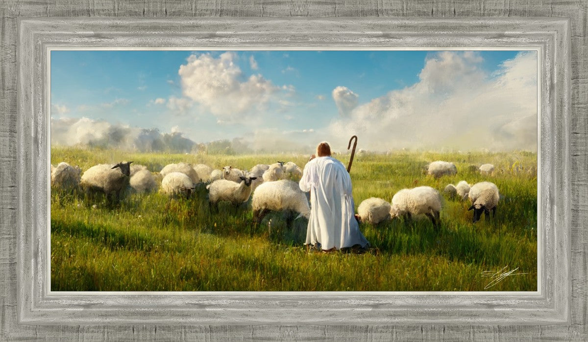 Counting Sheep