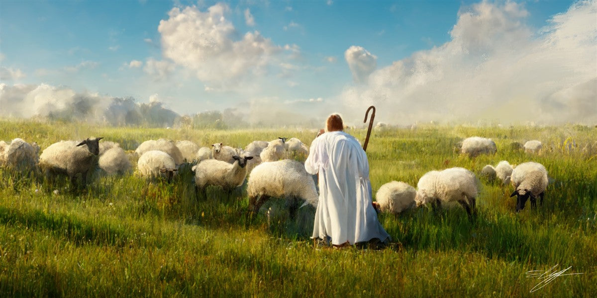 Counting Sheep
