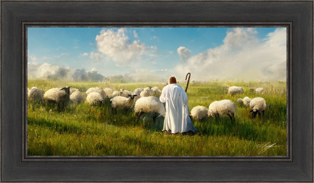 Counting Sheep