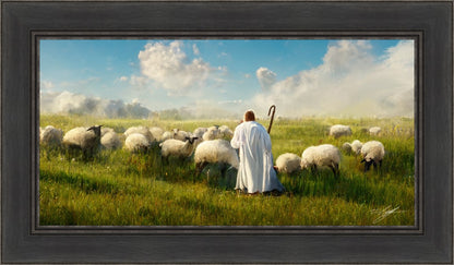 Counting Sheep