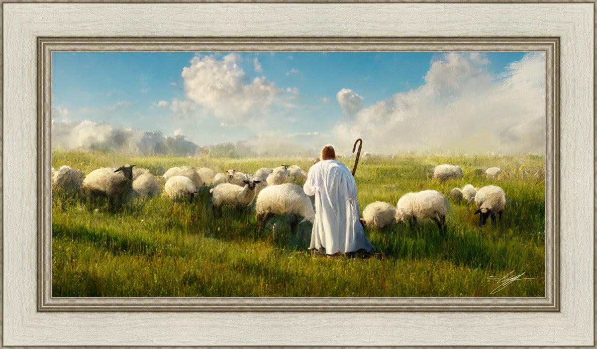 Counting Sheep