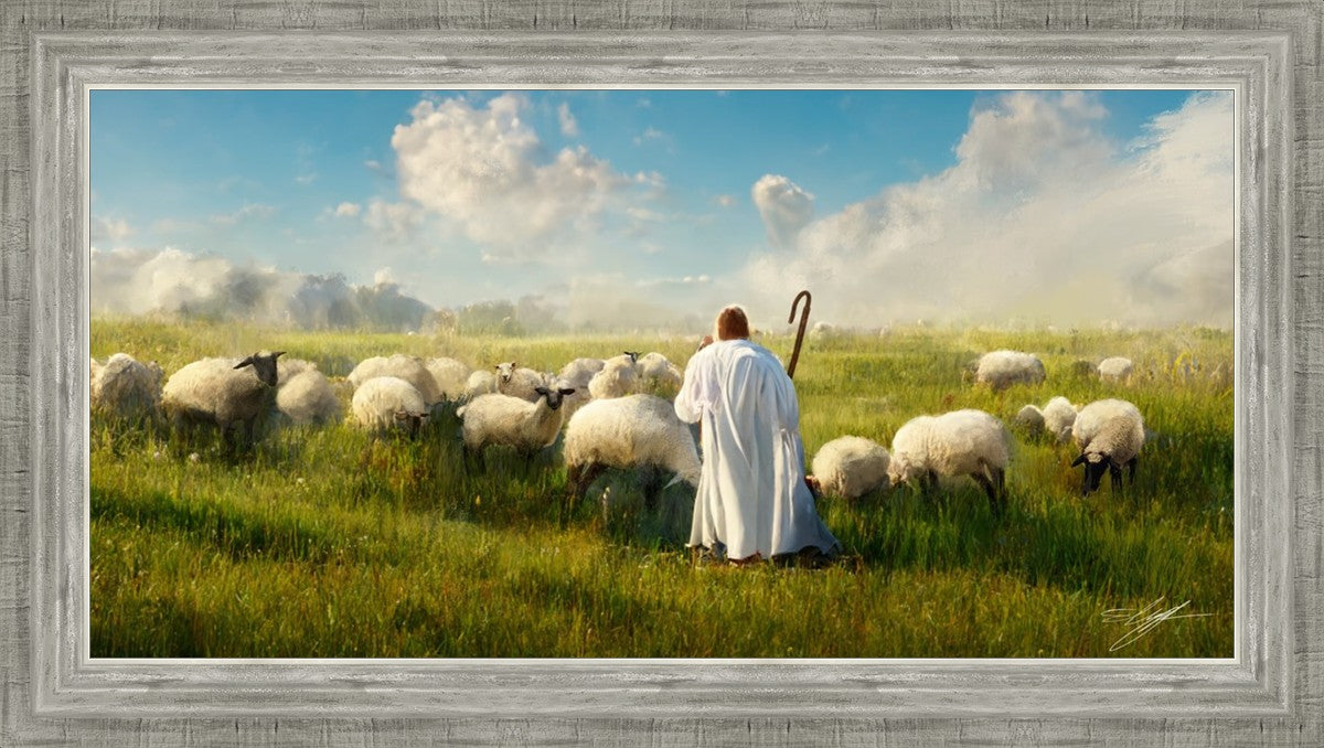 Counting Sheep