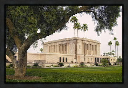 Mesa Temple 09 Gallery Wrap