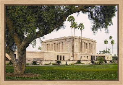 Mesa Temple 09 Gallery Wrap