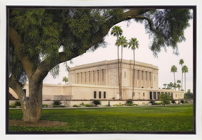 Mesa Temple 09 Gallery Wrap