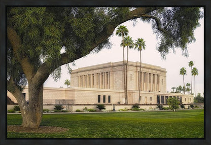 Mesa Temple 09 Gallery Wrap