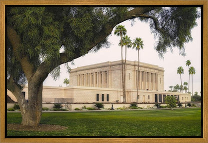 Mesa Temple 09 Gallery Wrap
