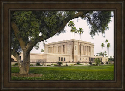 Mesa Temple 09
