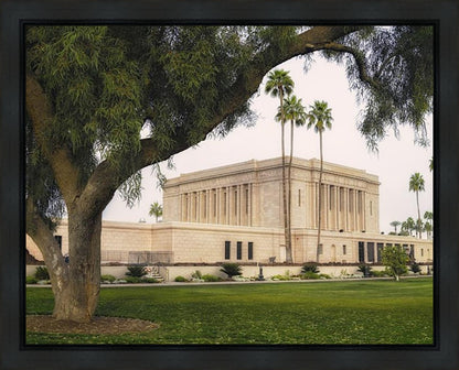 Mesa Temple 09 Gallery Wrap