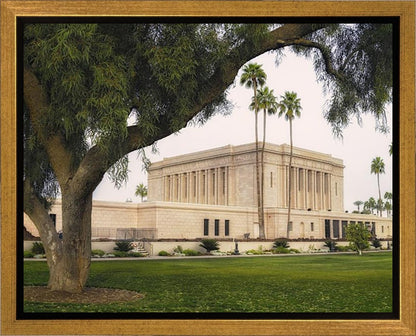 Mesa Temple 09 Gallery Wrap