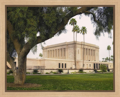 Mesa Temple 09 Gallery Wrap
