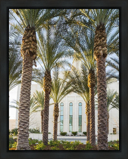 Gilbert Temple 04 Gallery Wrap