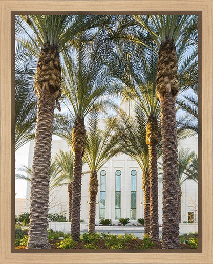 Gilbert Temple 04 Gallery Wrap