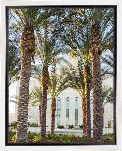 Gilbert Temple 04 Gallery Wrap