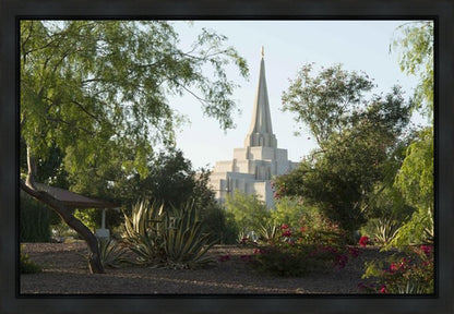 Gilbert Temple 14 Gallery Wrap