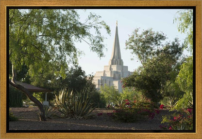 Gilbert Temple 14 Gallery Wrap