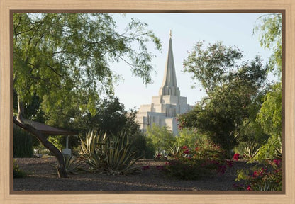 Gilbert Temple 14 Gallery Wrap