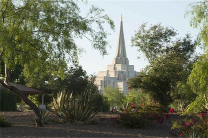 Gilbert Temple 14 Gallery Wrap