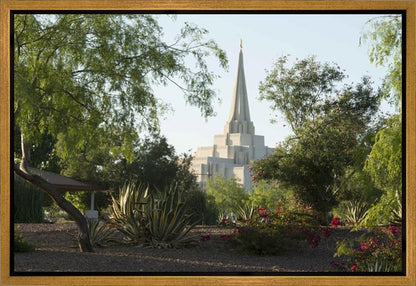 Gilbert Temple 14 Gallery Wrap