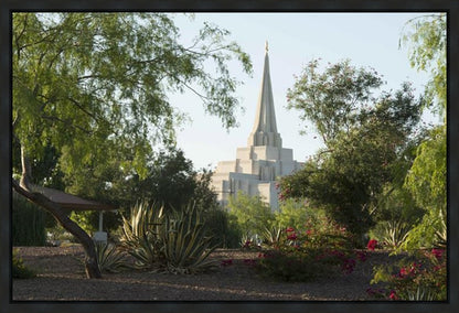 Gilbert Temple 14 Gallery Wrap