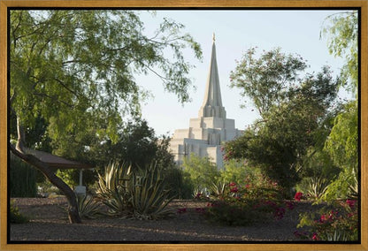 Gilbert Temple 14 Gallery Wrap