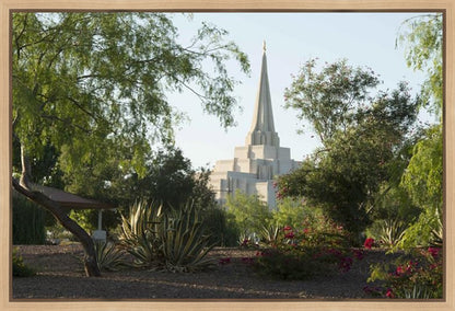 Gilbert Temple 14 Gallery Wrap