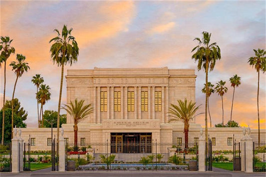 Mesa Palm Trees Gallery Wrap