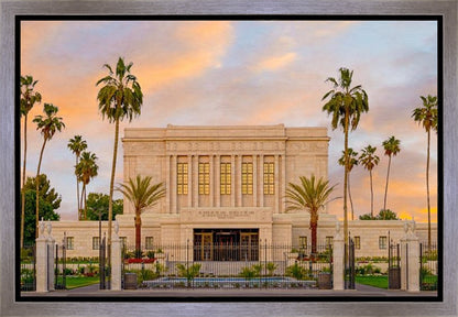 Mesa Palm Trees Gallery Wrap