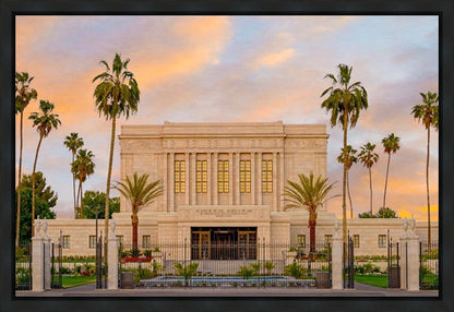 Mesa Palm Trees Gallery Wrap