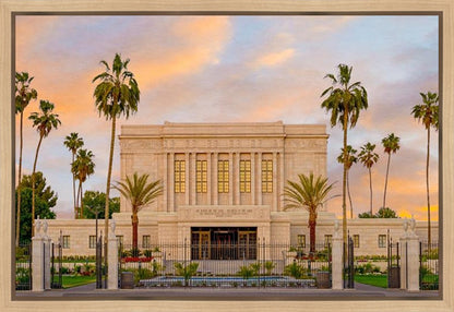 Mesa Palm Trees Gallery Wrap