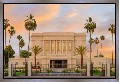 Mesa Palm Trees Gallery Wrap