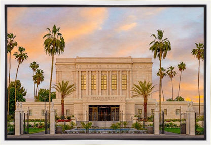 Mesa Palm Trees Gallery Wrap