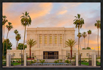 Mesa Palm Trees Gallery Wrap