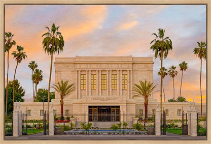 Mesa Palm Trees Gallery Wrap