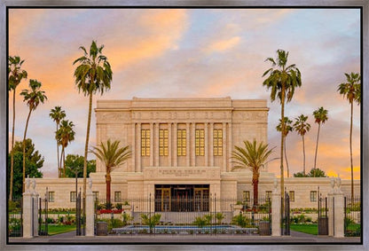 Mesa Palm Trees Gallery Wrap
