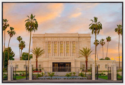 Mesa Palm Trees Gallery Wrap