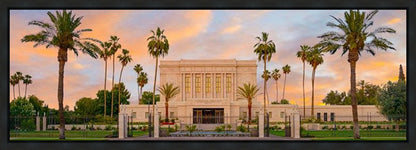 Mesa Palm Trees Gallery Wrap